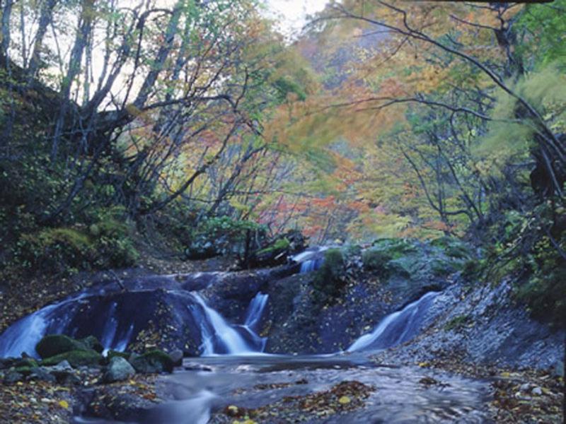 Onsen Minsyuku Akebonosou מוריאוקה מראה חיצוני תמונה